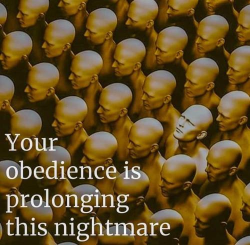 FB_IMG_1603888660068