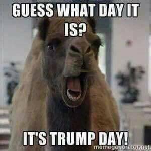 14956037_377690205895446_6031785586324689926_n