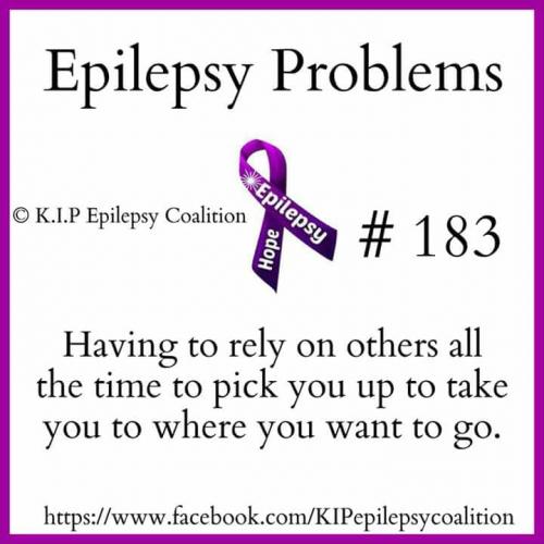 32687057_10204471057412402_2843669495602479104_n_10204471057372401