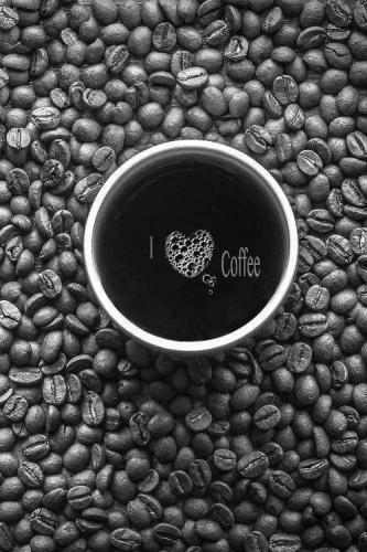 12243426_10200989174807513_3077775309830248069_n_10200989174807513