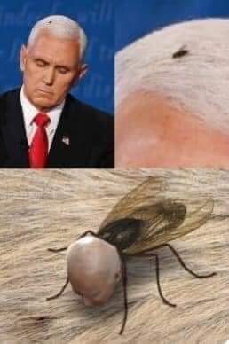 06:42:33 GMT-0400 (EDT)