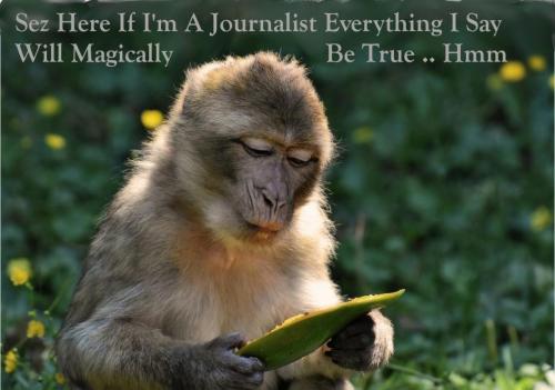 Monkey - on Journalists