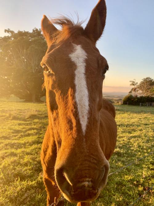 62C8BBE9-425D-479E-81DB-60D804B641A1