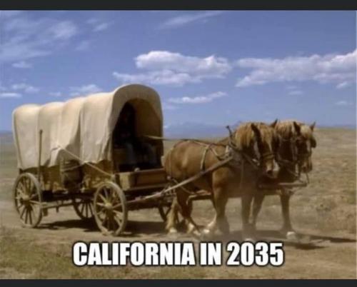 Cal 2035