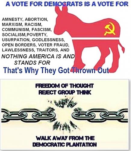 Don't Vote Dem - Break Group Think Plantation Chain