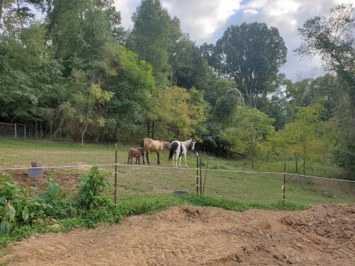 11:56:18 GMT-0400 (EDT)