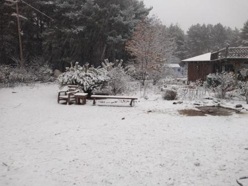 17:53:33 GMT-0500 (CDT)