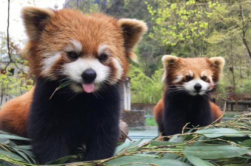 5ADE398D-EA81-419E-8516-8D407BBFD061