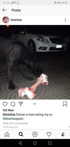 93998060_2762165730719048_4139771332818632704_o