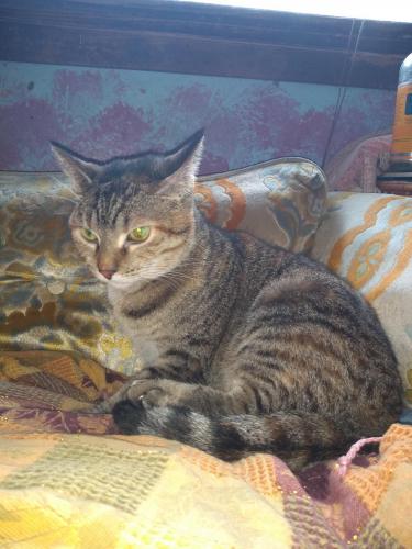 12:32:24 GMT-0500 (CDT)