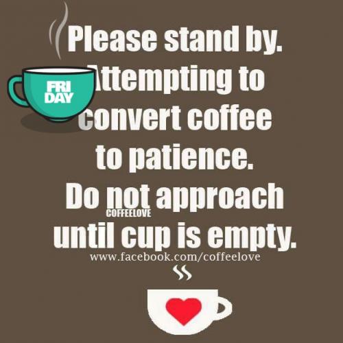 13055387_10201527142776376_5890691828530929981_n_10201527142776376