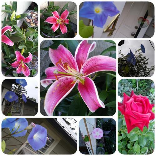 17:21:25 GMT-0700 (PDT)