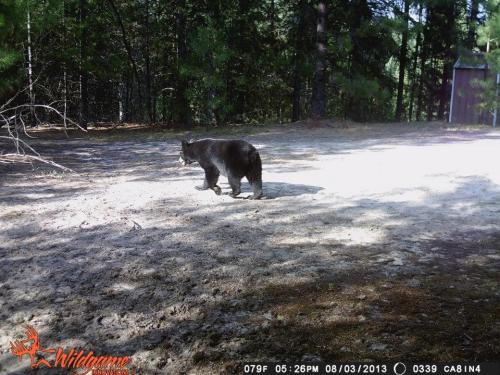 999867_10201794163794391_1880760778_n_10201794163794391