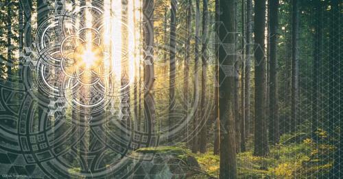 15844463_1643041135992262_5591148532213479331_o