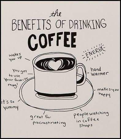 10639596_10201119337821507_5175379361475178889_n_10201119337821507