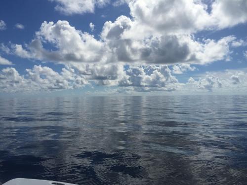 IMG_2528 (2016_12_05 15_23_24 UTC)