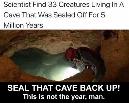 596da3f484a8024efc99d976b118008b