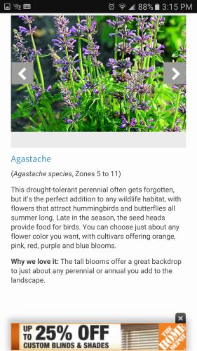 20248074_10203382691403932_1642509616565191897_o_10203382691403932