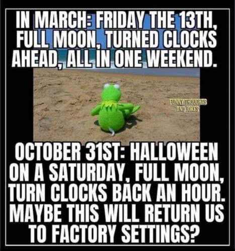 121643835_1296511970710458_1345827632131449462_o