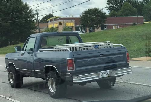 118876766_2697996000517978_3103406929963663960_n_2697995997184645