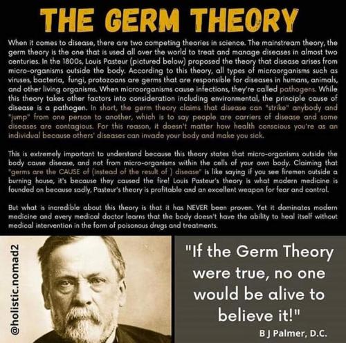 FB_IMG_1603067168419