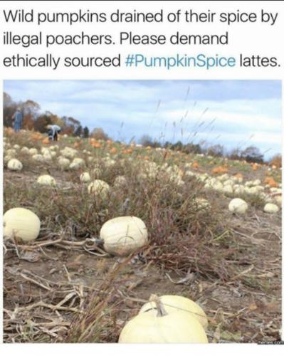 11:35:38 GMT-0400 (EDT)