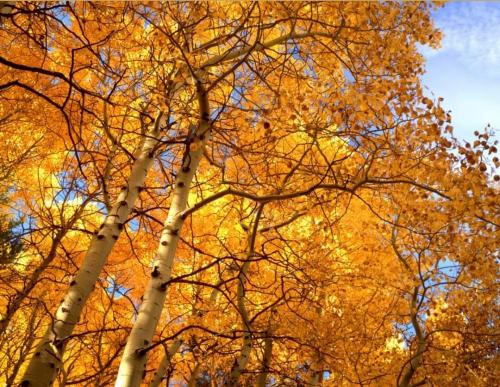 00:35:59 GMT-0400 (EDT)