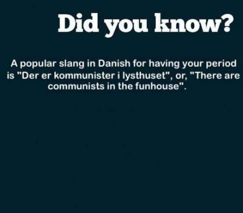 48051688_10205186761064546_3890341412046110720_n_10205186761024545