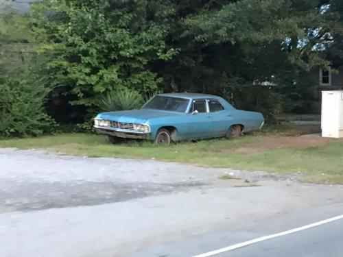 119435985_2704294876554757_1624483953848373051_n_2704294873221424