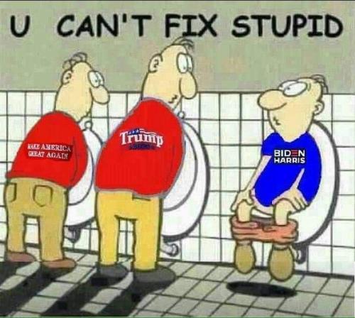 You can't fix stupid