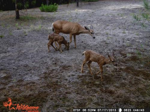 970437_10201668882742443_621790765_n_10201668882742443