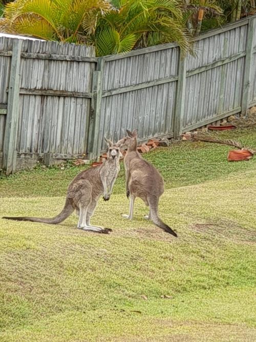 22:50:25 GMT+1000 (AEST)