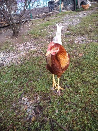 08:25:36 GMT-0500 (CDT)