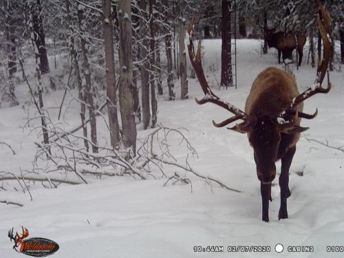 87570741_10221779983787400_2053294748910747648_o_10221779983747399