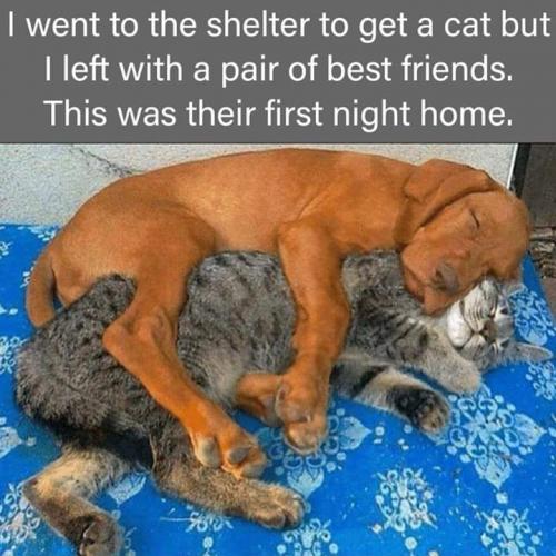 23:10:52 GMT-0500 (CDT)