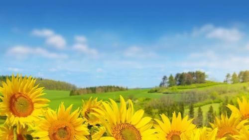 FB_IMG_1601862066744