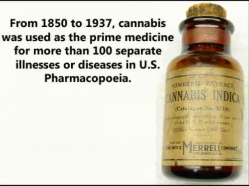 20264836_10203382683683739_4467049459108964696_n_10203382683683739