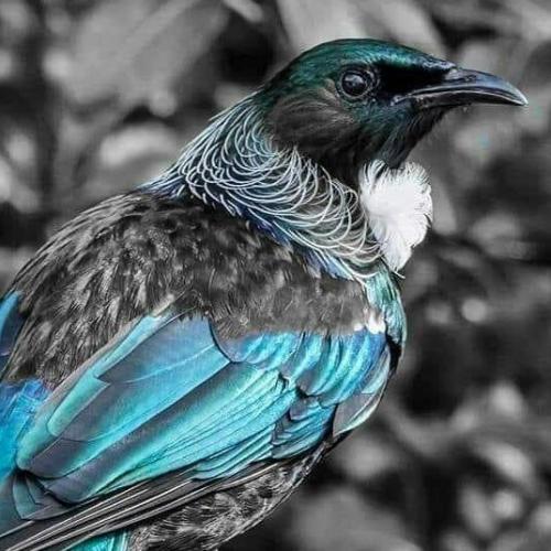 12:51:22 GMT+1300 (NZDT)