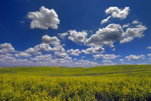 south-dakota-prairies-940x629