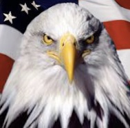 BA6A80B3-78DC-4266-A323-DEF6DE334219