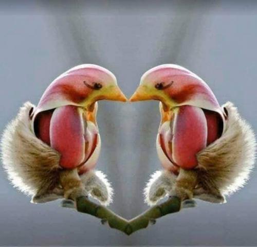 19:33:43 GMT-0600 (MDT)