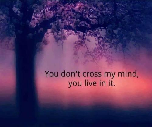 D0F8A1DB-FE3D-4A68-B0F6-FE5E1B46EBB2