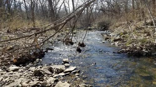 56194292_10212672623156540_8820210547770261504_n