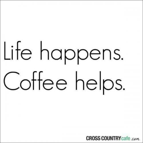 12832456_10201338476619840_3153900331444363322_n_10201338476619840