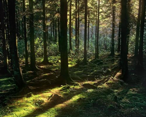 90790353_10221889239606041_6476263383275405312_n(1)