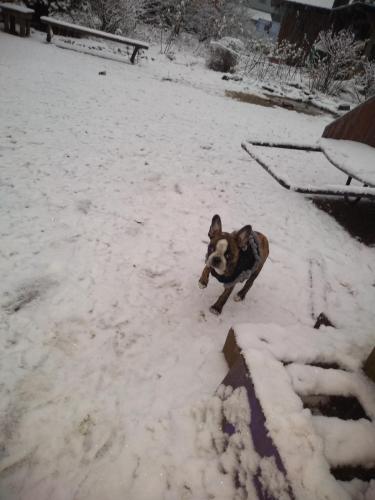 17:53:33 GMT-0500 (CDT)