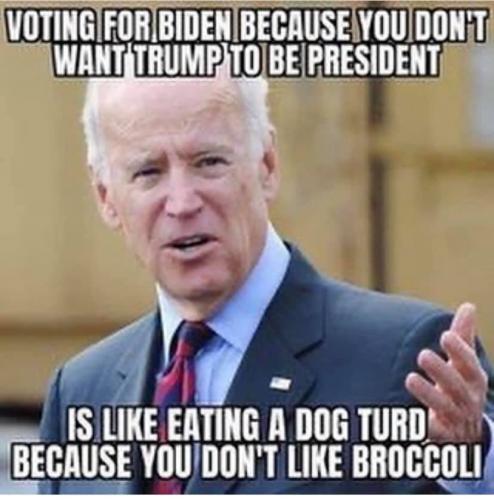 BIDEN DOG TURD