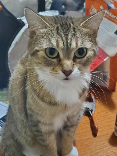 13:09:24 GMT-0400 (EDT)