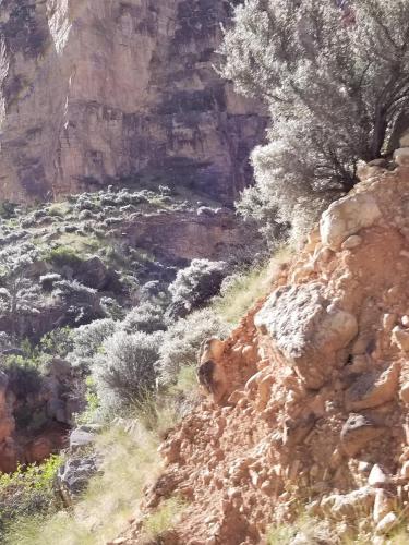 21:01:29 GMT-0600 (MDT)