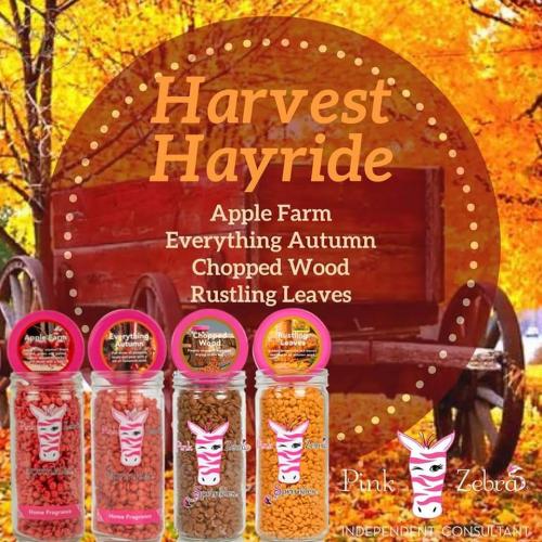 FB_IMG_1601066126777